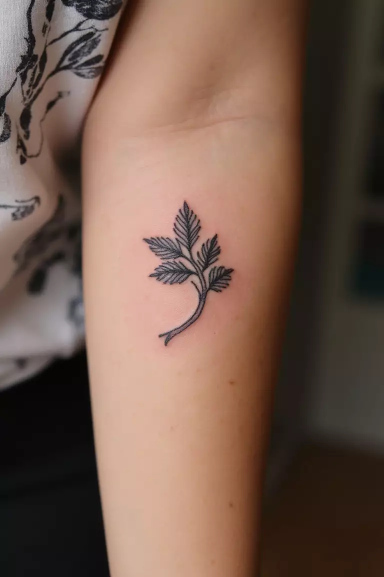 Dionysus's Vine A close up shot of woman's arm with a black ink tattoo showing a small vine symbolizing Dionysus, the god of wine and festivity.